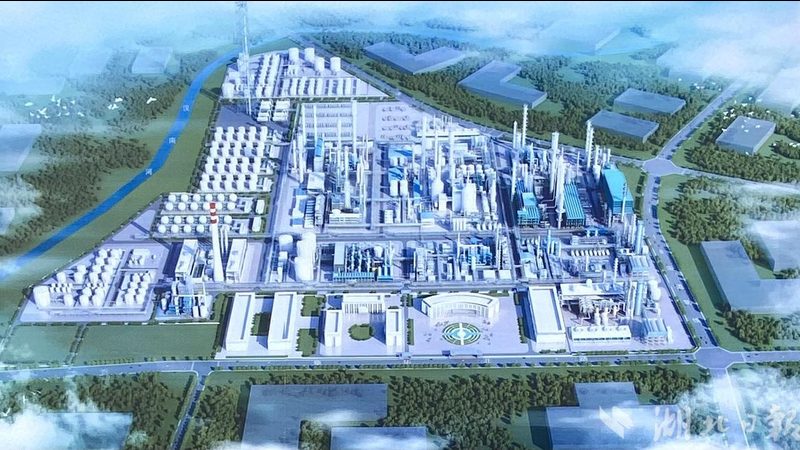 漳州古雷石化园区入驻门槛解析：考量因素与实际影响